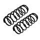 Genuine Apec Pair Of Rear Coil Springs For Vauxhall Vectra Cdti 1.9 (4/04-7/08)